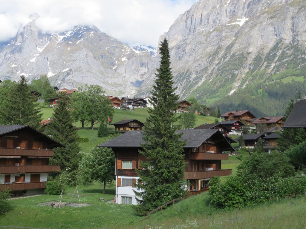 Mom - Alpine Boutique Apartments, Romantica, Near Grindelwald Terminal Ngoại thất bức ảnh